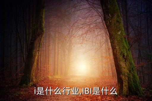 ibi是什么行业,IBI是什么