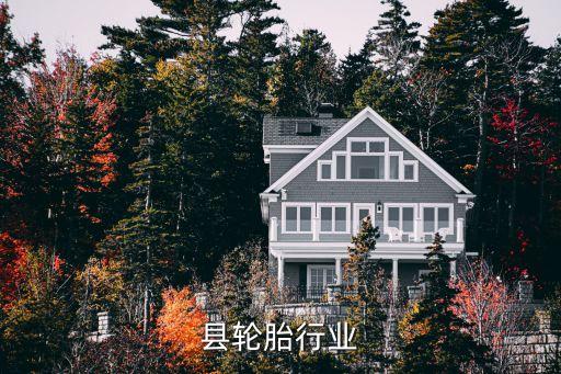 广饶县轮胎行业