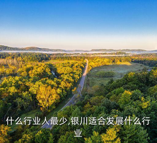 什么行业人最少,银川适合发展什么行业