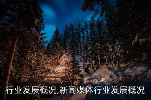洗衣行业发展概况,新闻媒体行业发展概况