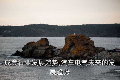成套行业发展趋势,汽车电气未来的发展趋势