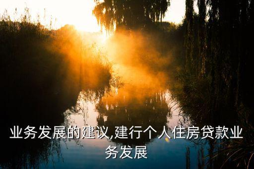 业务发展的建议,建行个人住房贷款业务发展