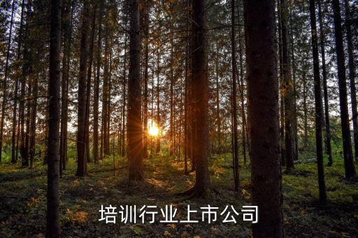 职业培训行业上市公司