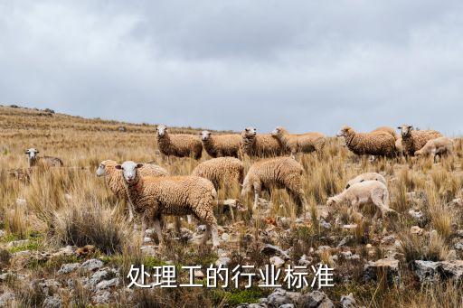 三废处理工的行业标准