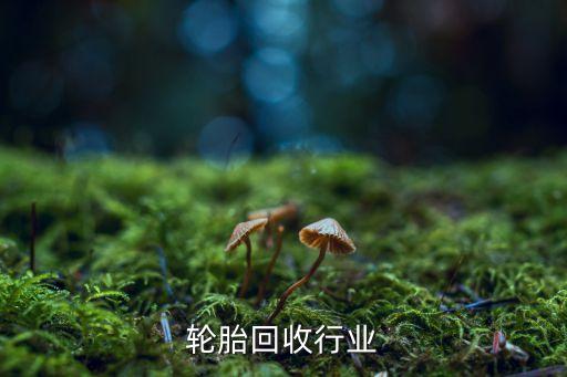 轮胎回收行业
