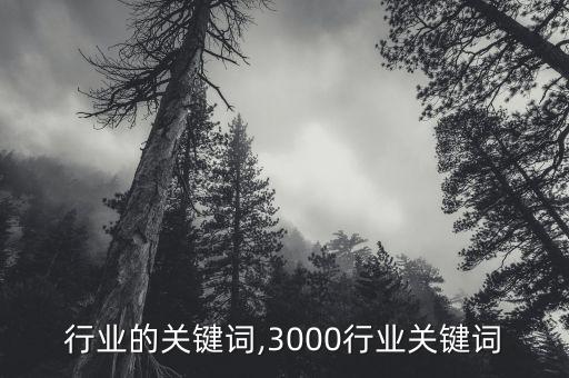 行业的关键词,3000行业关键词