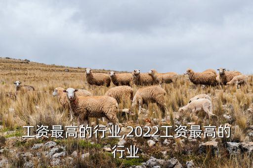 中国工资最高的行业,2022工资最高的行业