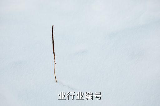 保险业行业编号