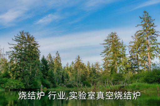 真空烧结炉 行业,实验室真空烧结炉