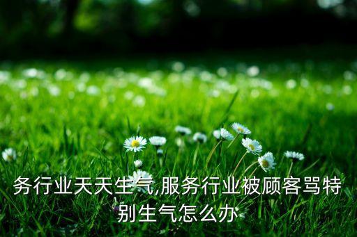 干服务行业天天生气,服务行业被顾客骂特别生气怎么办