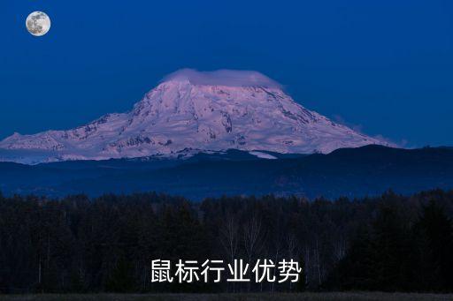键盘鼠标行业优势