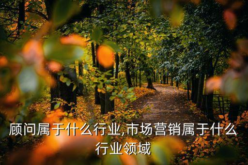 营销顾问属于什么行业,市场营销属于什么行业领域