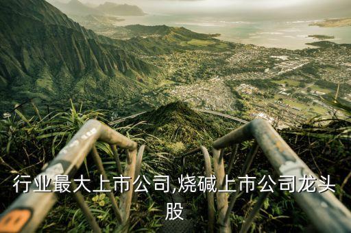 烧碱行业最大上市公司,烧碱上市公司龙头股