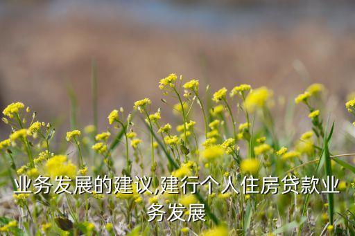 业务发展的建议,建行个人住房贷款业务发展