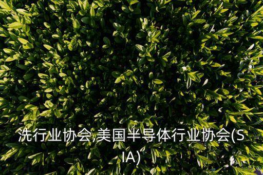 洗行业协会,美国半导体行业协会(SIA)