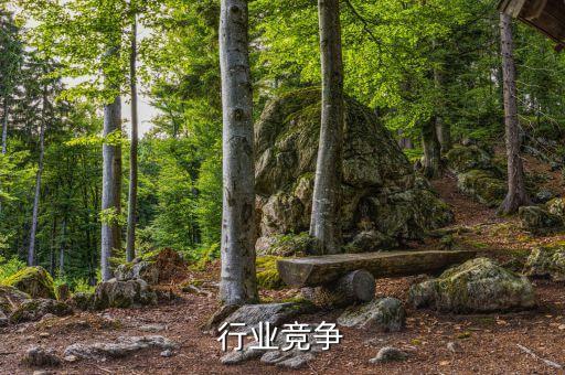 槟榔行业竞争