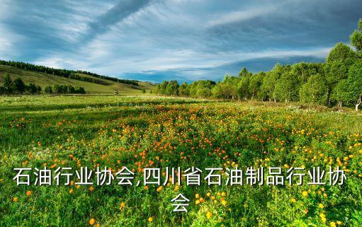 石油行业协会,四川省石油制品行业协会