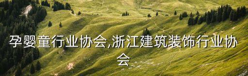 浙江孕婴童行业协会,浙江建筑装饰行业协会