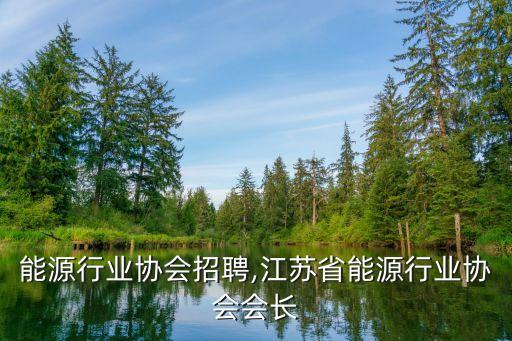能源行业协会招聘,江苏省能源行业协会会长