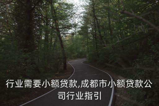 哪些行业需要小额贷款,成都市小额贷款公司行业指引