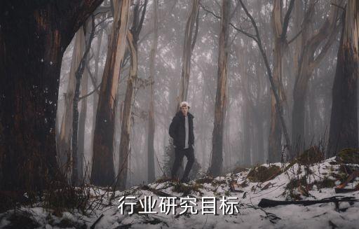 服装行业研究目标