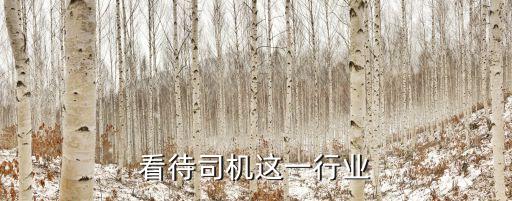 看待司机这一行业