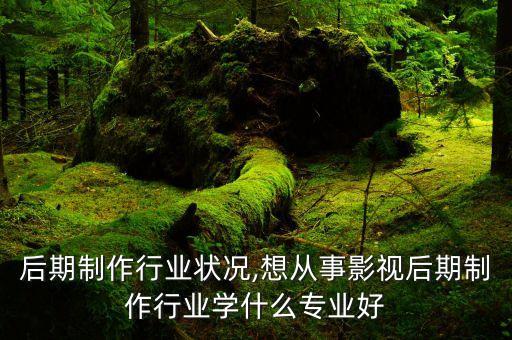 影视后期制作行业状况,想从事影视后期制作行业学什么专业好