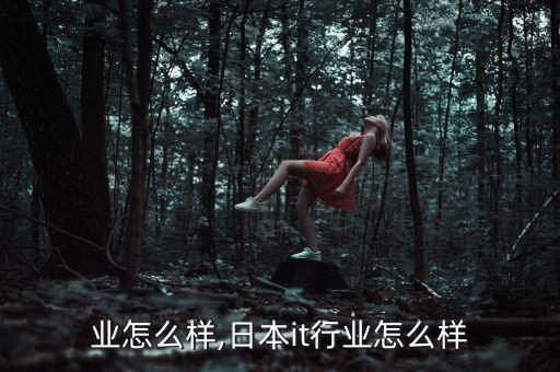业怎么样,日本it行业怎么样