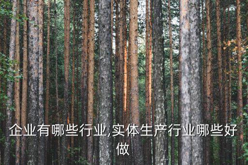 实体企业有哪些行业,实体生产行业哪些好做