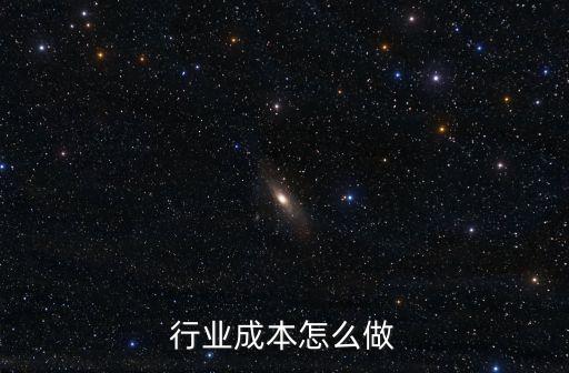 行业成本怎么做