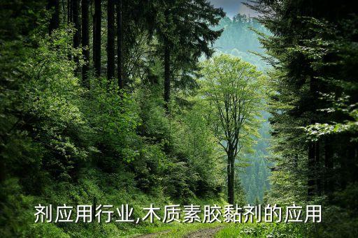 胶黏剂应用行业,木质素胶黏剂的应用