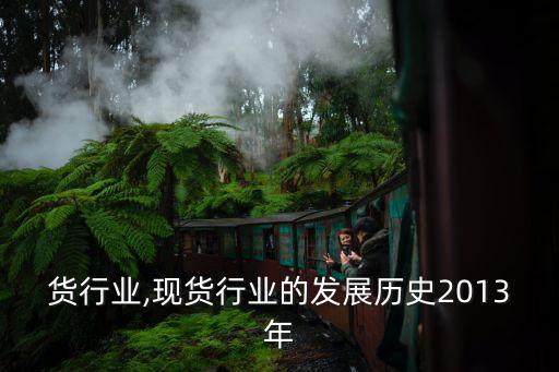 新现货行业,现货行业的发展历史2013年