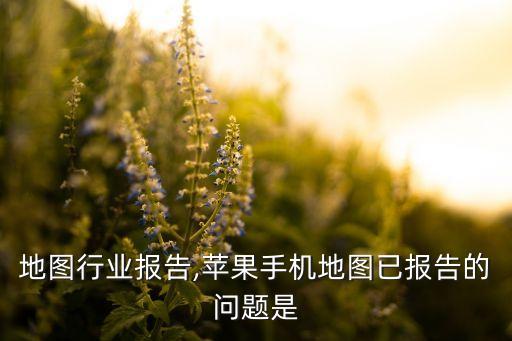 地图行业报告,苹果手机地图已报告的问题是