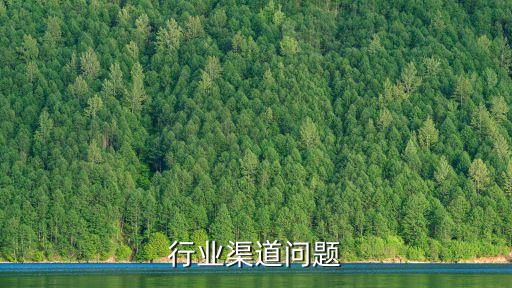行业渠道问题