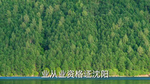 业从业资格证沈阳