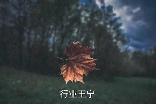 行业王宁
