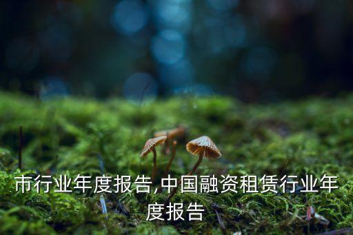 深圳市行业年度报告,中国融资租赁行业年度报告