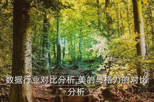 格力数据行业对比分析,美的与格力的对比分析