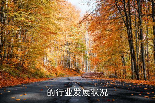 电钻的行业发展状况