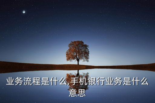业务流程是什么,手机银行业务是什么意思