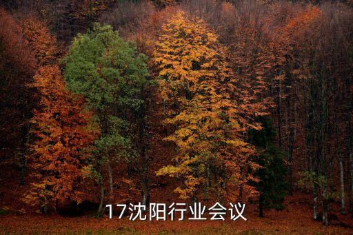 17沈阳行业会议