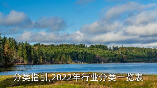 分类指引,2022年行业分类一览表