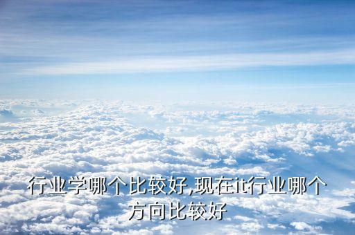 行业学哪个比较好,现在it行业哪个方向比较好