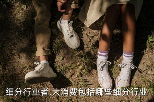 细分行业者,大消费包括哪些细分行业
