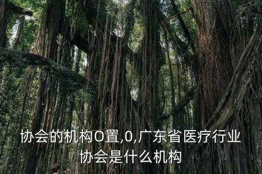 行业协会的机构?O置,0,广东省医疗行业协会是什么机构