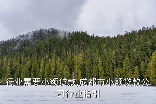 行业需要小额贷款,成都市小额贷款公司行业指引