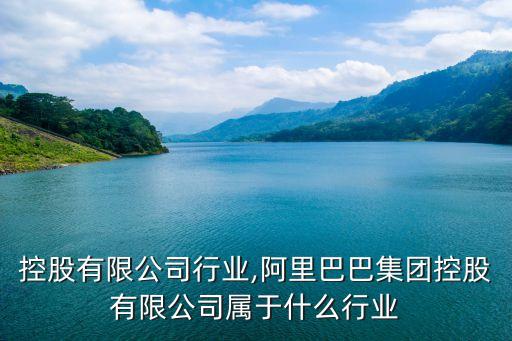 全辉控股有限公司行业,阿里巴巴集团控股有限公司属于什么行业