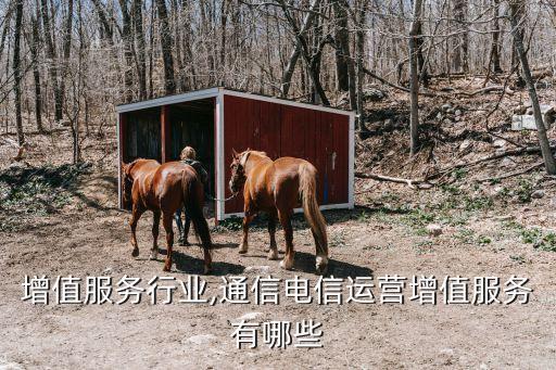增值服务行业,通信电信运营增值服务有哪些