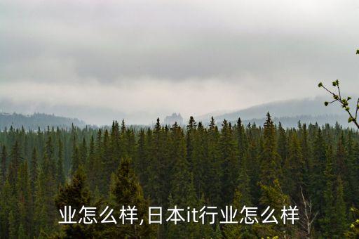 纸行业怎么样,日本it行业怎么样