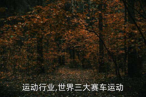 赛车运动行业,世界三大赛车运动